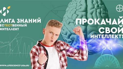 Разработка и развитие проекта Лига знаний «Естественный интеллект»